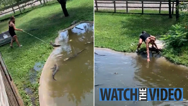 Woman Climbs Into Alligator Pit With Her Son To Retrieve Wallet • Hollywood Unlocked