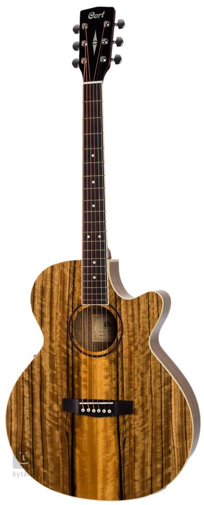 Cort SFX DAO NAT Semi Acoustic Guitar – 16th Audio