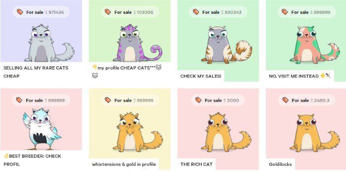 Fancy cryptokitties floor price statistics