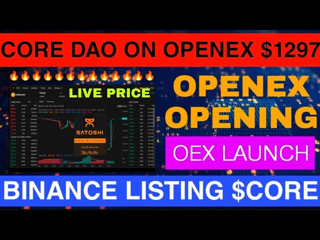 OpenEX Token Airdrop: Legit or Scam?