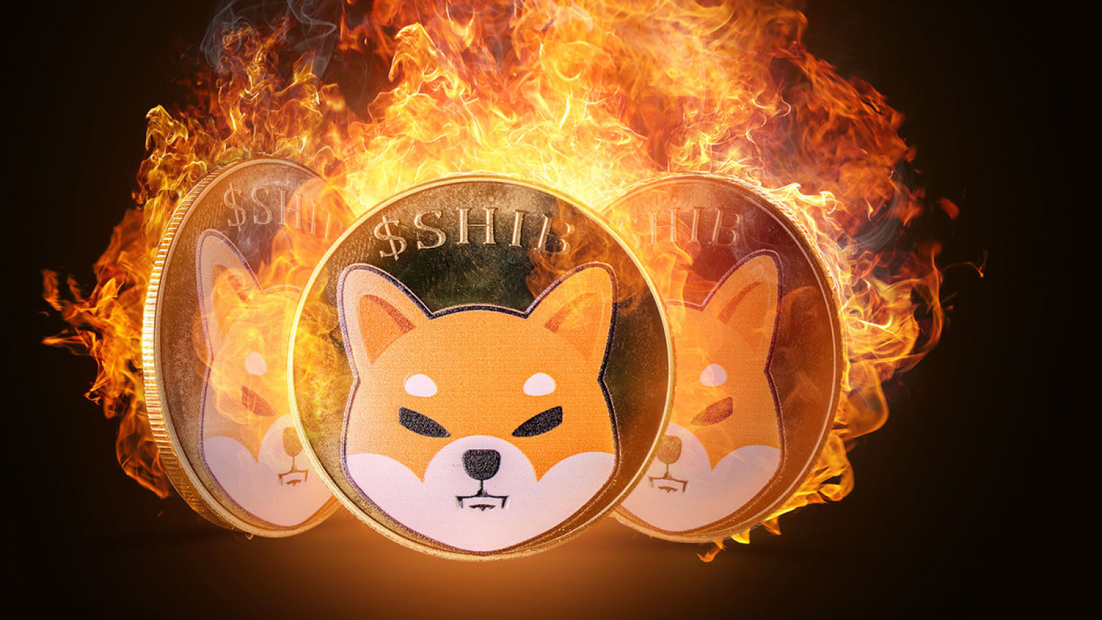 Forget Shiba Inu: This Cryptocurrency Could Make You Rich