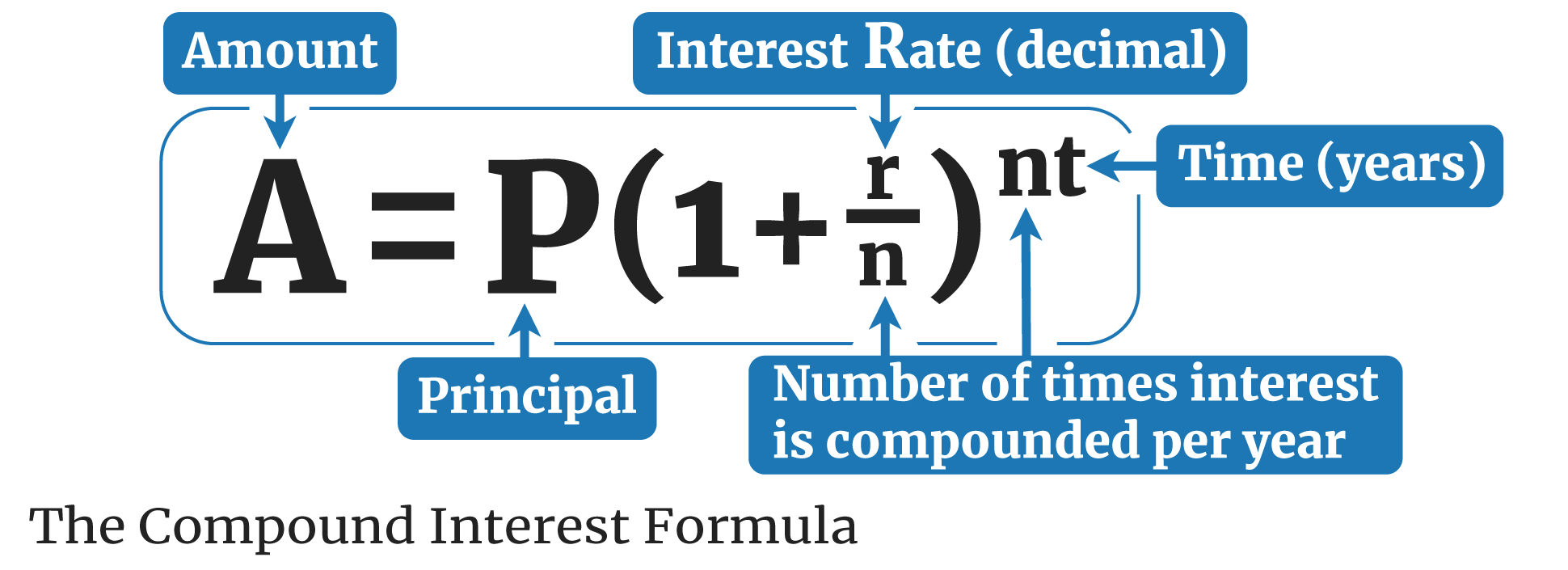 Compound Interest Calculator | coinlog.fun