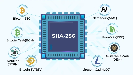 Data Shows a Myriad of Crypto Networks Are More Profitable to Mine Than Bitcoin