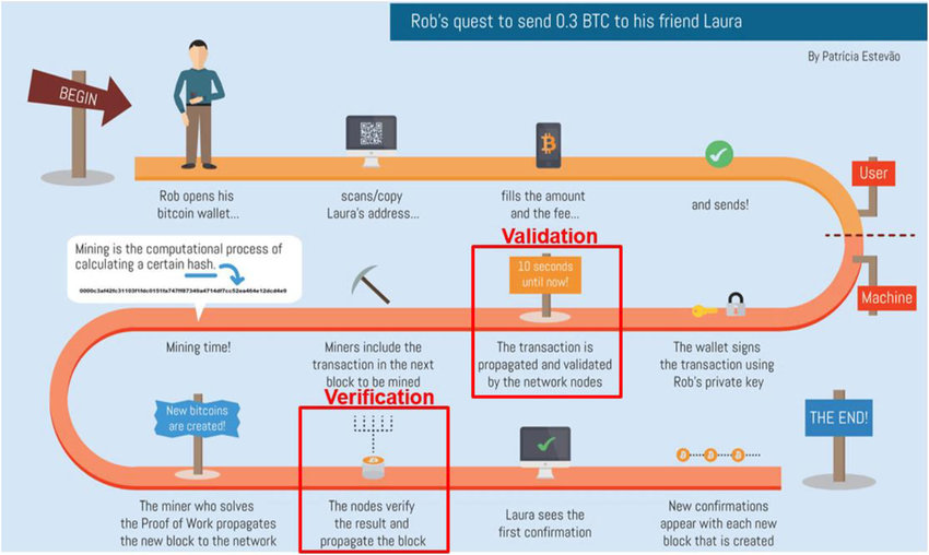 Bitcoin Blockchain Security: Nodes or Miners? - D-Central