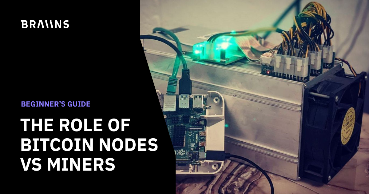 Bitcoin Nodes vs. Miners: Demystified | Braiins