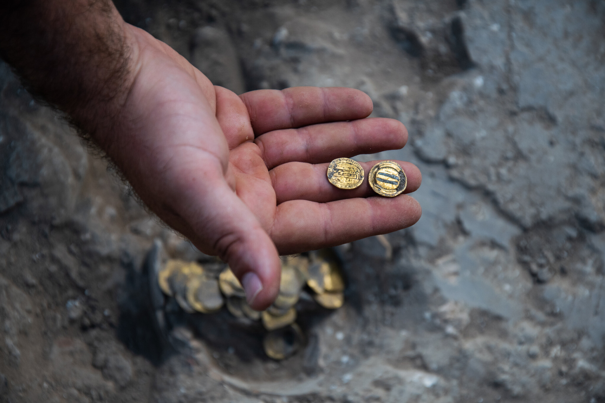 'Stunning' cache of gold coins found in Kentucky cornfield