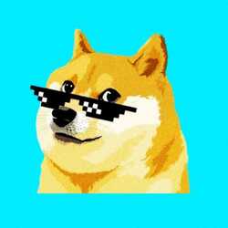 Convert DOGE to USD ( Dogecoin to United States Dollar)