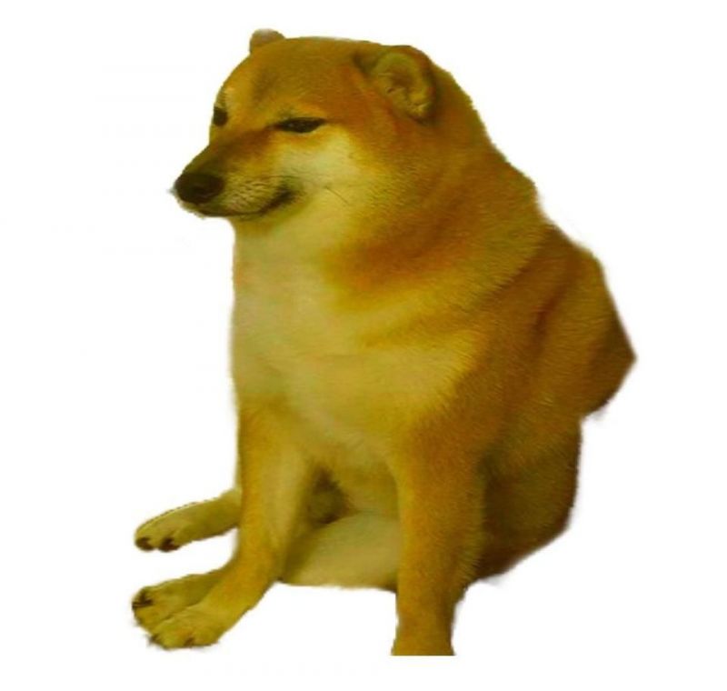 Very sad doge Meme Generator - Imgflip