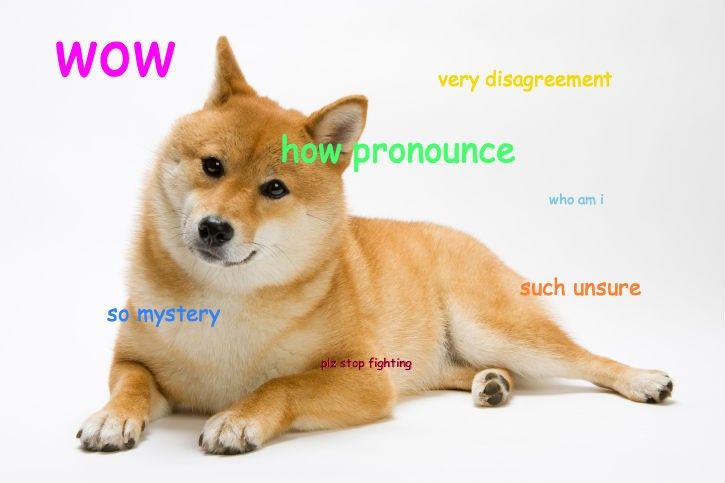 Such wow. much amaze. a presentation on the doge meme by me. - ppt download