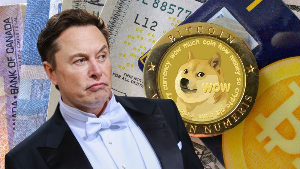 Dogecoin Celebrity Impact: The Elon Musk Effect