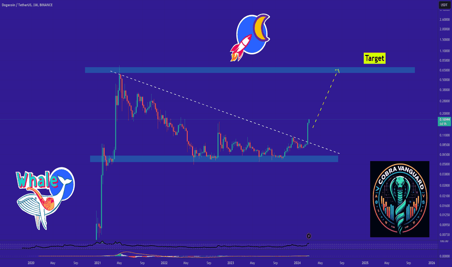 Dogecoin Trade Ideas — BINANCE:DOGEUSD — TradingView