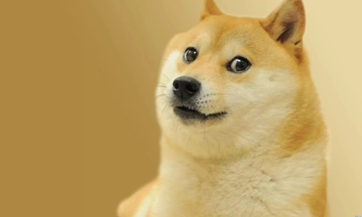Dogecoin (DOGE) Reviews & Ratings : Revain