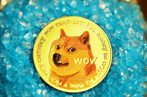 Doge Token Official Website - DOGET Coin