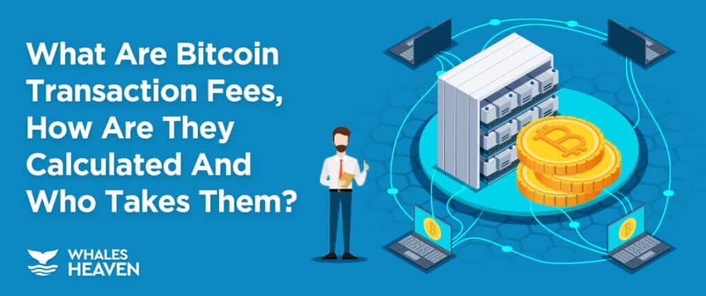 Reducing Bitcoin's High Transaction Fees ! - Supply Chain Game Changer™