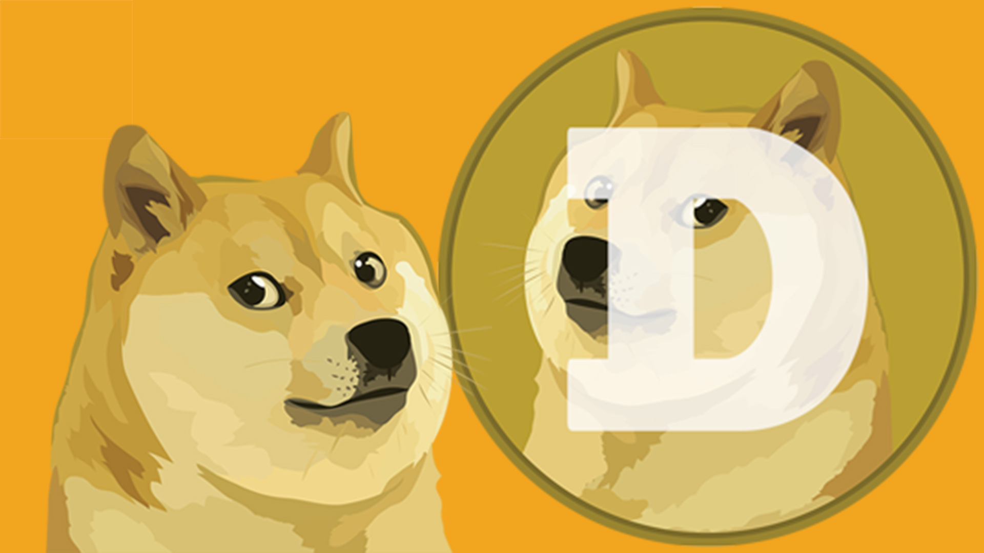 Operate a Dogecoin Node - Dogecoin