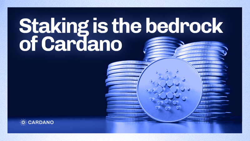 Cardano Staking | Ledger