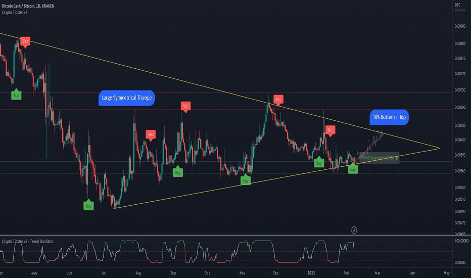 Page 4 Bitcoin Cash Trade Ideas — BITSTAMP:BCHUSD — TradingView