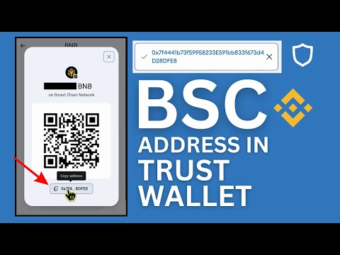 Binance Smart Chain Address Change - Basics - Trust Wallet