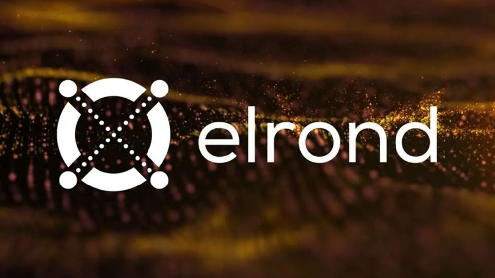 Elrond (EGLD) Token Analytics | Binance (BNB) Smart Chain Mainnet | Bitquery