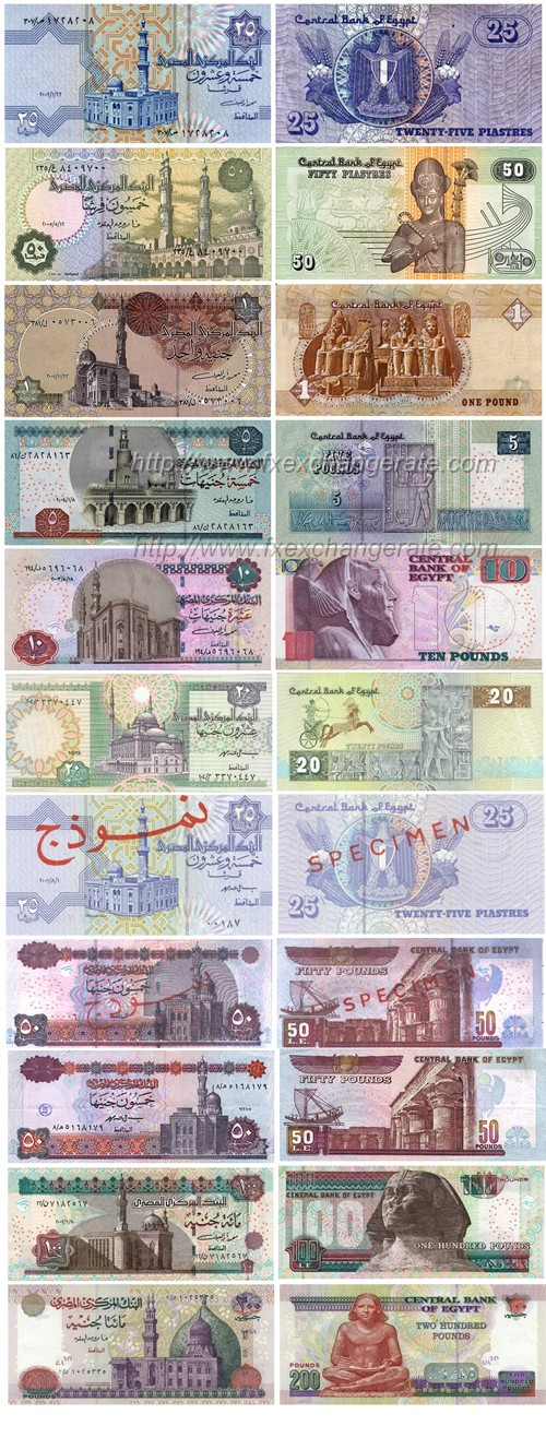 Currency in Egypt - A Full Guide - Exiap