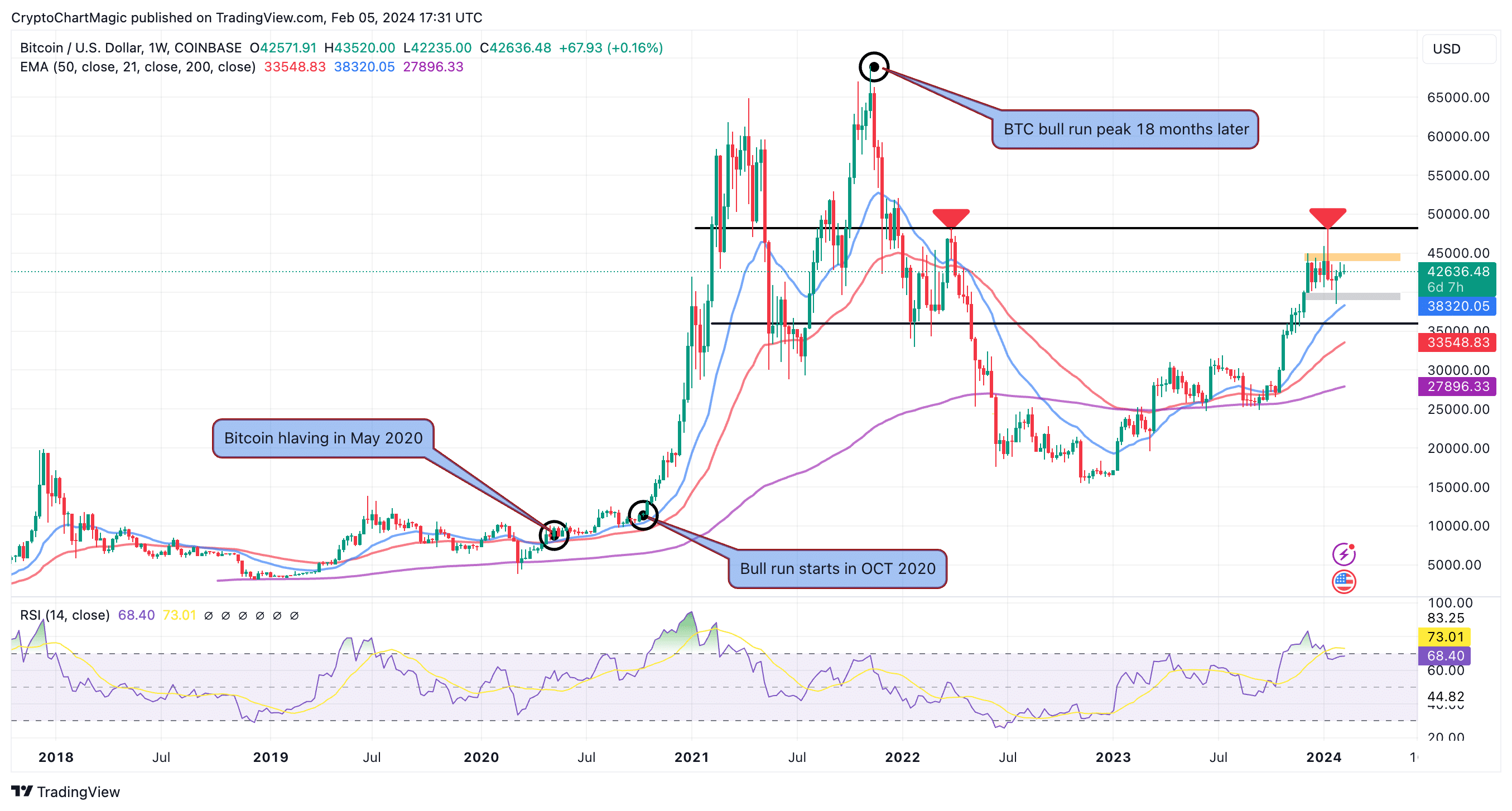 XRP Price Prediction: How High the XRP Price Will Go After the Halving?