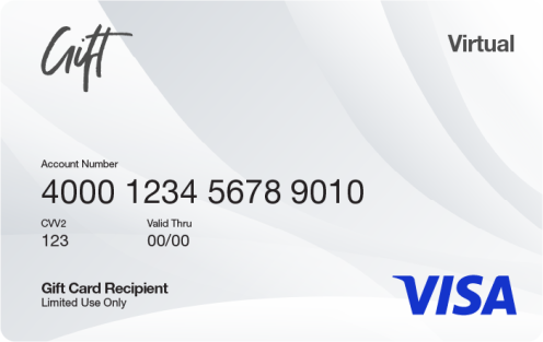 Visa Prepaid Card — coinlog.fun