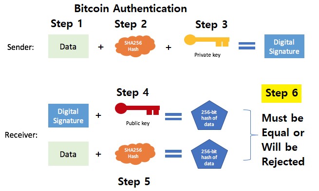 Bitcoin Address | Wallet Lookup - Blockonomics