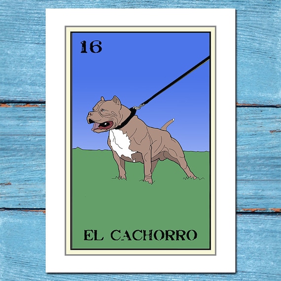 , Casa Cachorro Royalty-Free Photos and Stock Images | Shutterstock