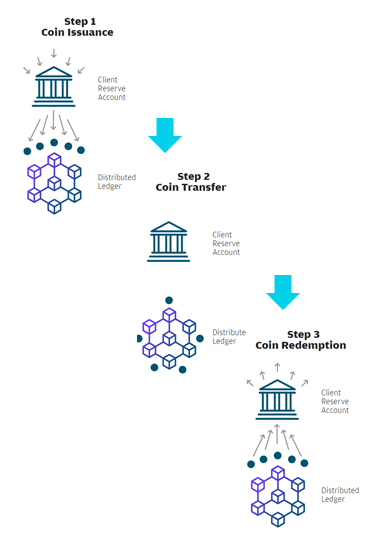 JPM Coin is growing in popularity | Fortune Crypto