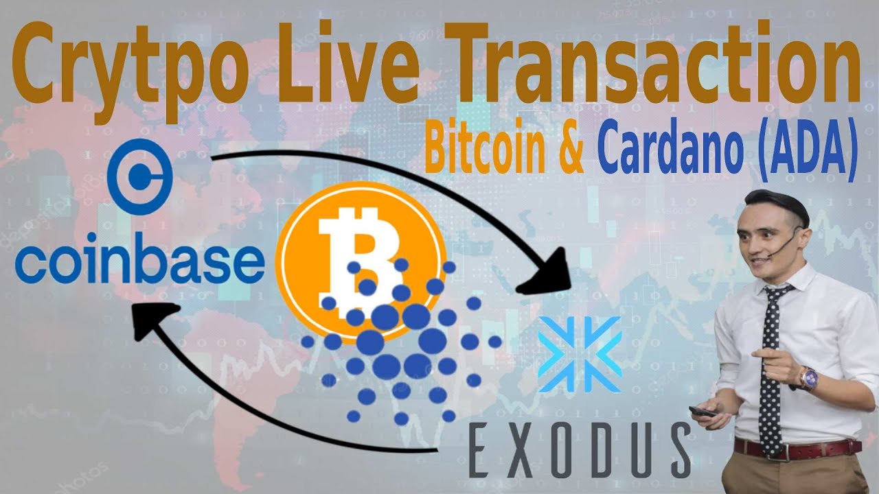 Exodus vs Coinbase - Is Exodus better than Coinbase? - CaptainAltcoin