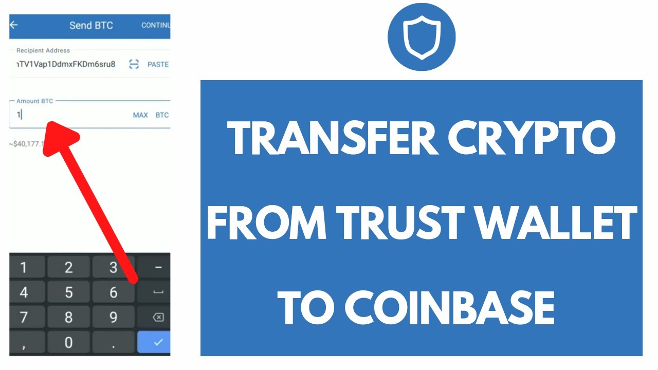 I transferred tokens to other wallet - English - Trust Wallet