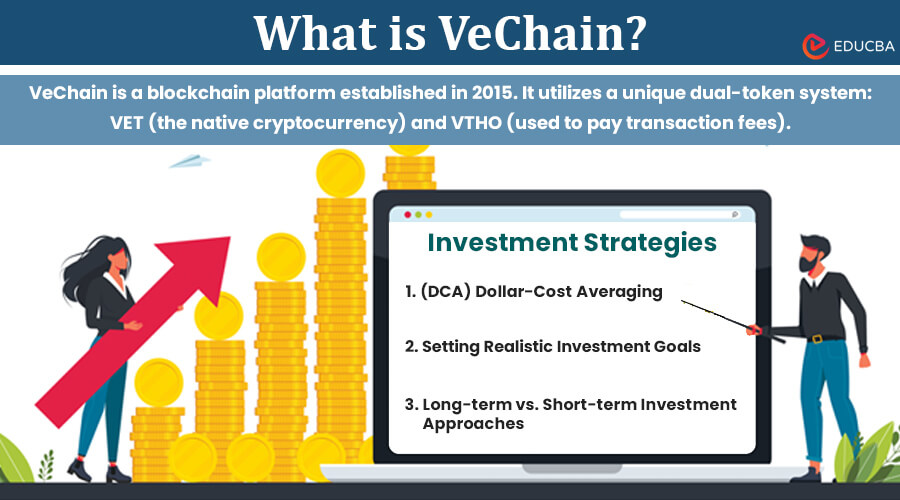 Investing in VeChain (VET) - Everything You Need to Know - coinlog.fun