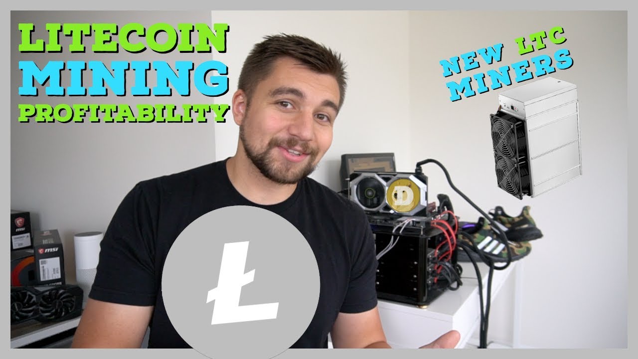 coinlog.fun: AntMiner L3++ Scrypt ASIC Litecoin Miner (L3++ with PSU) : Electronics