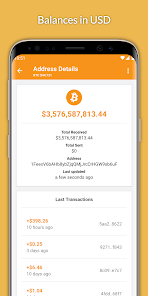 Bitcoin Explorer - coinlog.fun