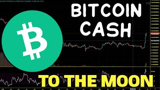 Buy and Sell Bitcoin, Ethereum, USDC and USDT - Lemon Cash