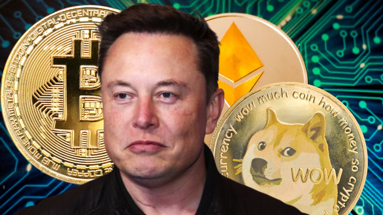 AI-Related Crypto Tokens Jump as Elon Musk Unveils New ChatGPT Competitor | Video | CoinDesk