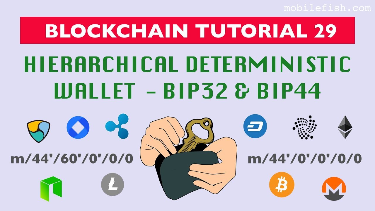 What is Deterministic Wallet? Definition & Meaning | Crypto Wiki