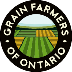 Grain Contracts | Waterloo | Pricing — Cribit Seeds