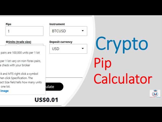 coinlog.fun Pip calculator - EasyCashBackForex