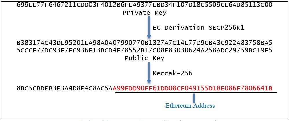 Private vs. Public Keys in Crypto and Why it Matters