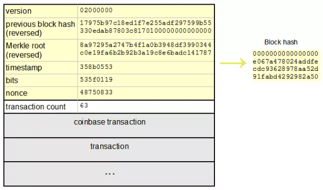 SHA Hashing Algorithm - List of coins based on Bitcoin's SHA algo