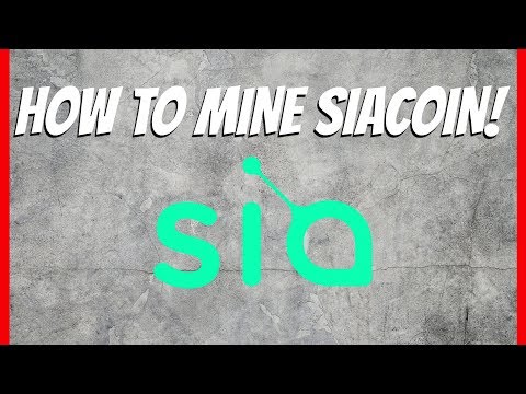 Where to Store Siacoin - Crypto Head