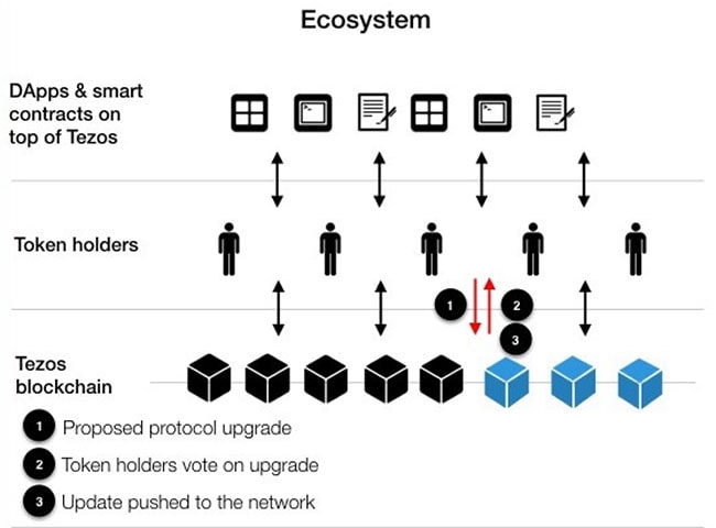 Tezos (XTZ): Definition and How It Works in Crypto