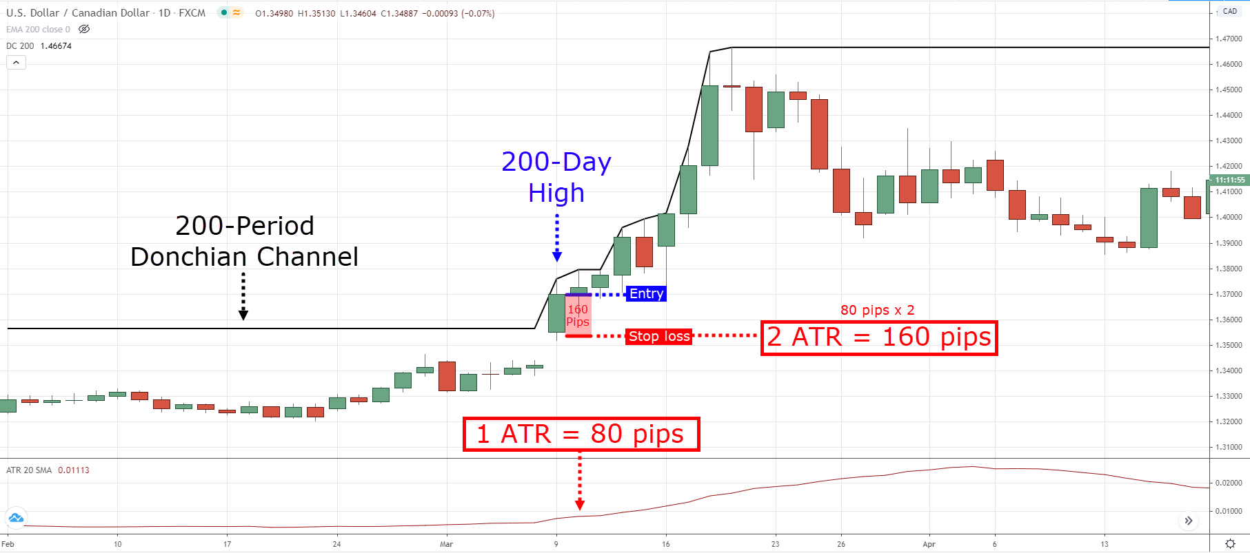 Turtle Trading System: A Guide to Trading Strategy and Rules - Success Trending