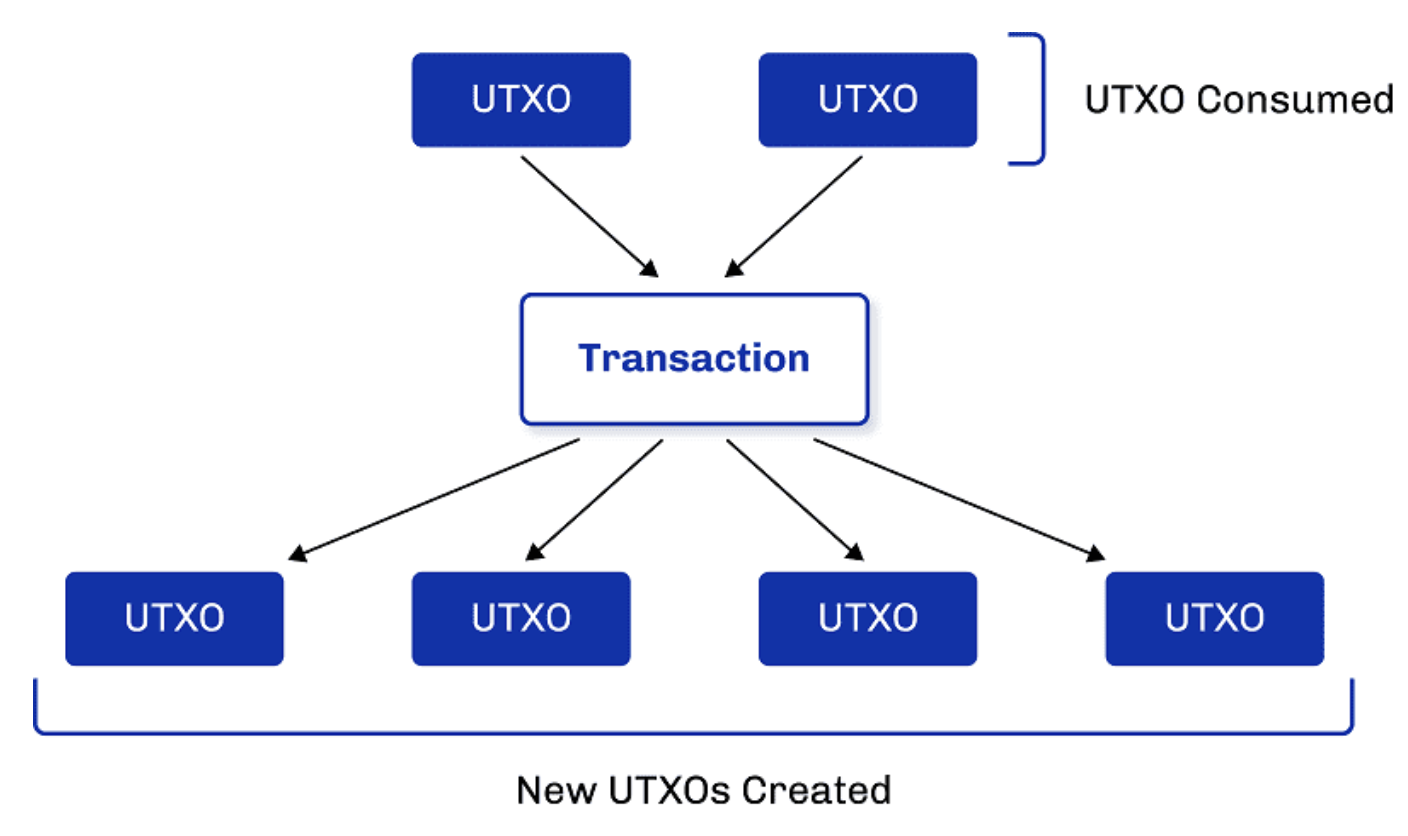 bitcoin-vto-bcded02bdb7cd0cd0de5ediff · GitHub