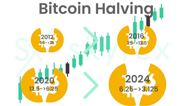 Bitcoin Halving Is Coming and Only the Most Efficient Miners Will Survive