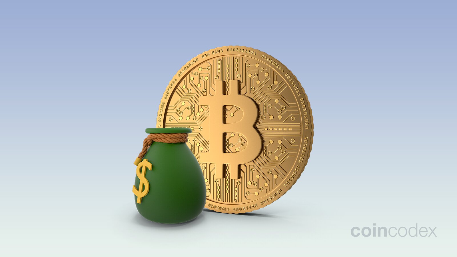 Bitcoin halving: When will it happen and what does it mean for the price? | Reuters