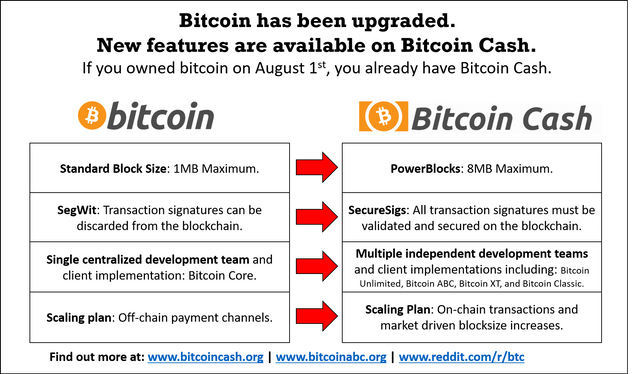 Bitcoin (BTC) vs Bitcoin Cash (BCH): Key Differences | Finance Magnates