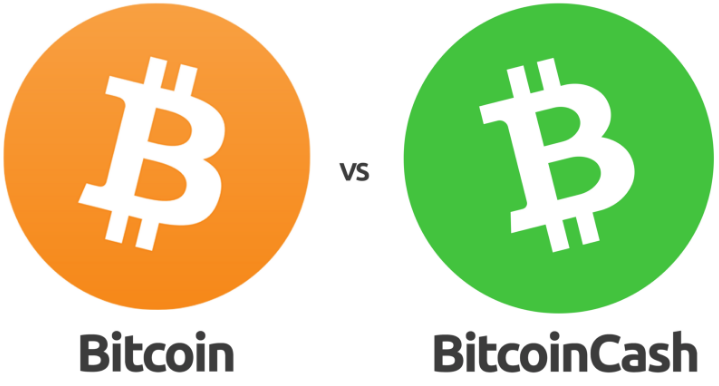 What Is Bitcoin Cash (BCH), and How Does It Work?