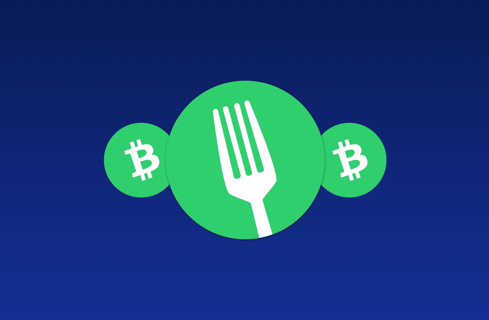 Bitcoin Cash Fork, 15 November What it Means for You | Ledger